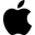 Google Play Icon